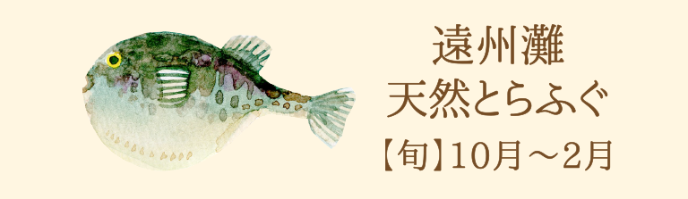 天然とらふぐ