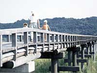 蓬莱橋2