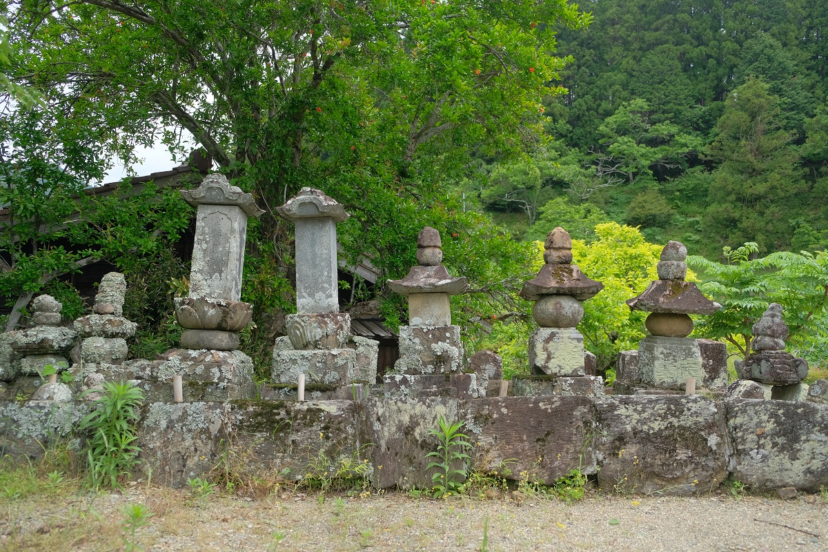 渋川井伊家の墓所