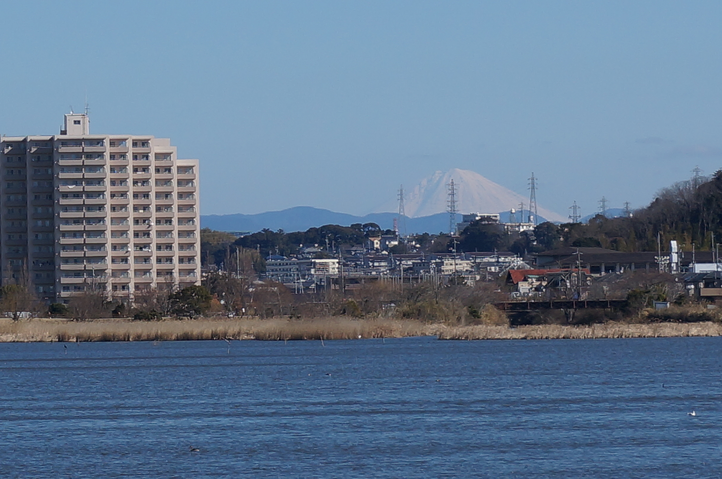 冬晴れの日には富士見水門や西岸時計塔から富士山を望むことができます。
