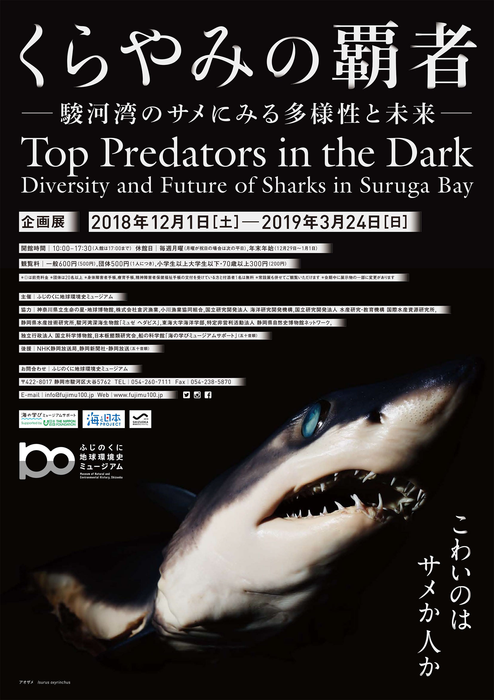 サメページ adidas ZX500 OG SAME アディダス サメ きゃりーぱみゅぱみゅ 新品