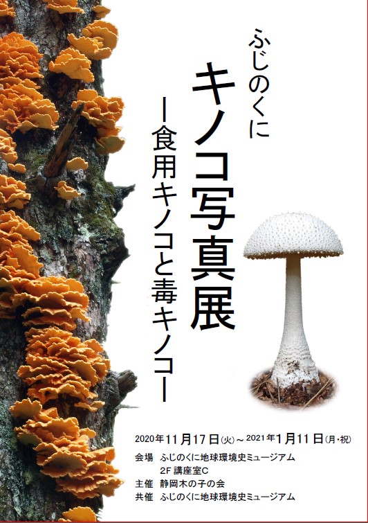 ふじのくにキノコ写真展－食用キノコと毒キノコ－