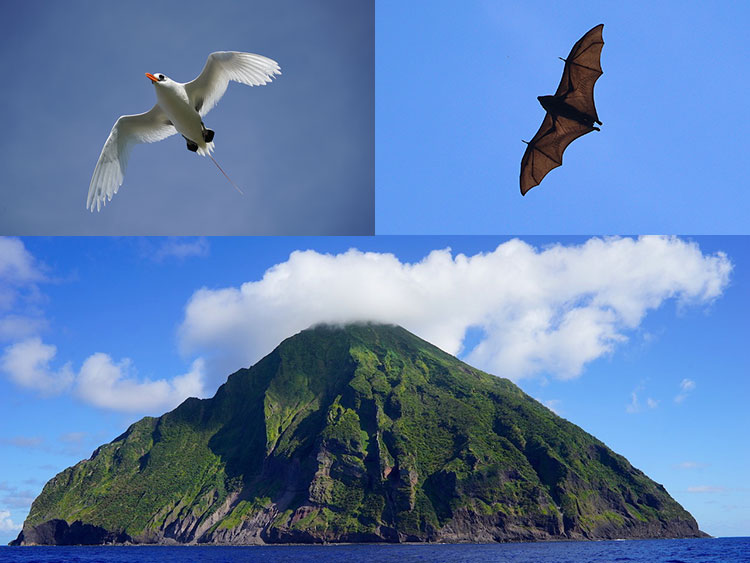 南鳥島(マーカス)の砂 コカコーラ空瓶 硫黄島の鶉石 オウム貝その他